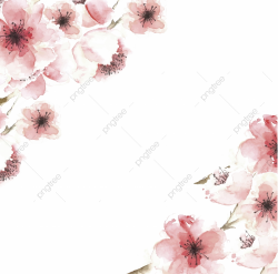 Floral Border, Floral, Border, Transparent PNG and Vector ...