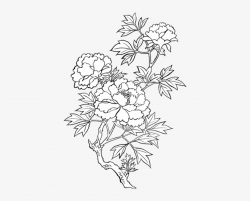 Flower Png Doodle Pack - Peony Drawing Transparent PNG Image ...