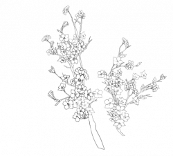 Artificial flower Drawing Doodle Blossom - flower png ...