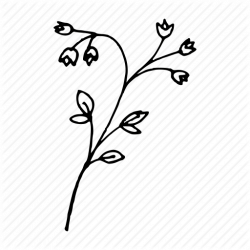 \'Doodle flowers\' by Oleanya M