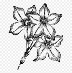 Gravestone Clipart Flower Drawing - Hand Drawn Flowers Png ...