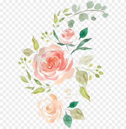 free watercolor pencil hand drawn flowers - hand drawn ...