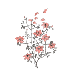 Draw Flowers Drawing Art museum - drawing png download - 500 ...