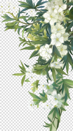 Familiar Wild Flowers Watercolour Flowers, White blooming ...