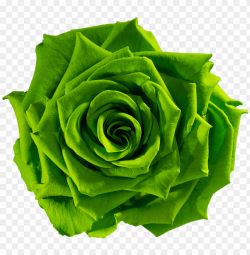 reen flower png download green flower png download - green ...