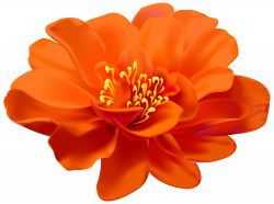 Flower Orange Transparent PNG Clip Art Image | Gallery ...