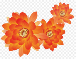 Floral Flower Background clipart - Flower, Orange, Dahlia ...