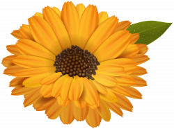 Orange Flower Transparent Clip Art Image | Gallery ...