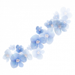 ftestickers overlay flowers transparent blue...