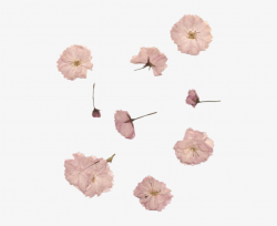 Overlay Flower Png Sticker Pink Kawaii Tumblr Edit ...