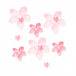 ftestickers background overlay flowers transparent lumi...