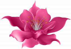 Pink Flower Transparent Clip Art Image | Gallery ...