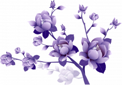 Purple Flower Clip art - crocus png download - 1280*900 ...