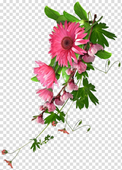 Pink petaled flowers, Blog , real flowers transparent ...