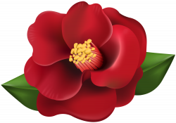 Red Flower Transparent Image | Gallery Yopriceville - High ...