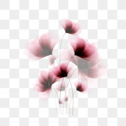 Transparent Flower Png, Vector, PSD, and Clipart With ...