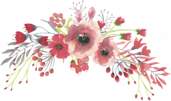 Watercolour Flowers Transparent Watercolor Watercolor ...