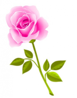 Free Pretty Flower Cliparts, Download Free Clip Art, Free Clip Art ...