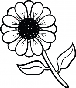 Black And White Clipart Flowers | Free download best Black And White ...