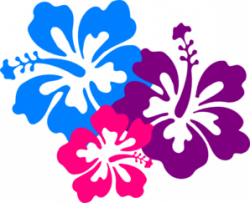 Hibiscus flowers PNG, SVG Clip art for Web - Download Clip Art, PNG ...