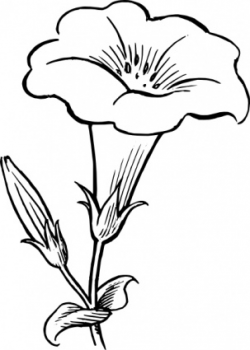 Free Flower Outline Clipart, Download Free Clip Art, Free Clip Art ...