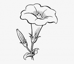 Black, Outline, Drawing, Flower, White, Flowers, Free - Flower ...