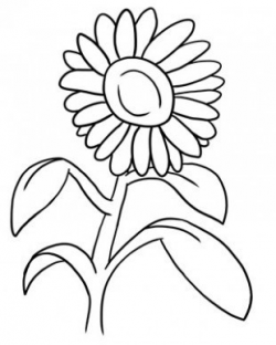 Outline Images Of Flowers – Cliparts