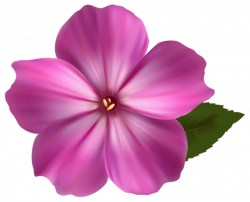 Flower clip art realistic - 15 clip arts for free download on EEN