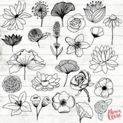 Flowers Clipart - 23 Hand Drawn Floral Cliparts - Realistic Floral ...