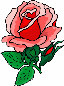 Flower clip art rose - 15 clip arts for free download on EEN