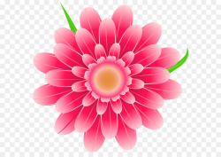 Flower Pink png download - 5910*5708 - Free Transparent Flower png ...