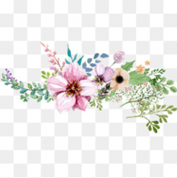 Flower PNG Images, Download 114,435 PNG Resources with Transparent ...