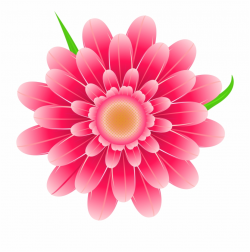 Transparent Pink Flower Clipart Png Image - Pink Flowers Clip Art ...