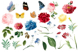 Flower Vectors, Photos and PSD files | Free Download