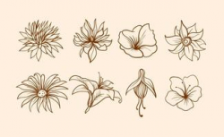 Flowers Free Vector Art - (48,223 Free Downloads)