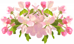 Flower Spring Clip art - Spring Tree Flowers Transparent PNG ...