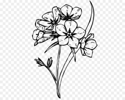 Free Flower Drawing Transparent Background, Download Free ...