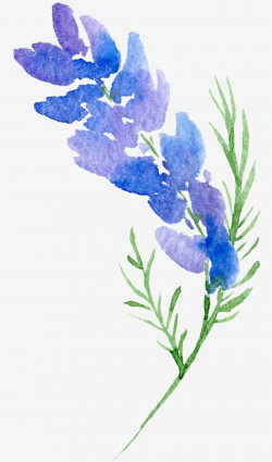 Transparent Background Floral Botanical Watercolor Flowers ...