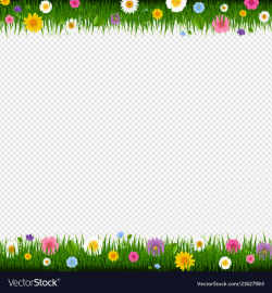 Grass and flowers border transparent background