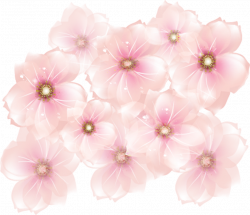 Pink flowers Clip art - Pink Flowers Transparent Clipart png ...