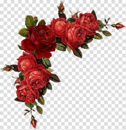 Floral design Flower Rose Red , flower transparent ...