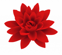 Red Flower Png - Transparent Background Red Flower Png ...
