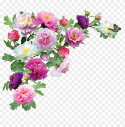 transparent flowers PNG image with transparent background ...