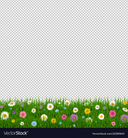 Grass and flowers border transparent background