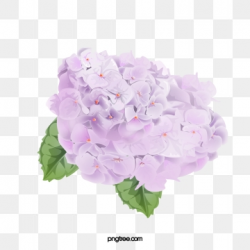 Purple Flower Png, Vector, PSD, and Clipart With Transparent ...