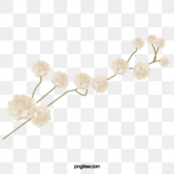White Flowers Png, Vector, PSD, and Clipart With Transparent ...