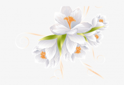 White Flower Clipart Transparent Background - Vector Flowers ...
