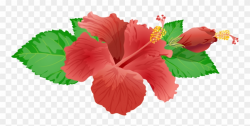 Red Flower Png Clip Art Image - Hibiscus Flower Png ...