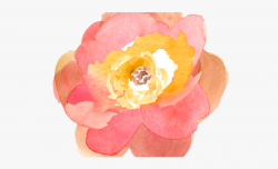 Peach Flower Clipart Free Fall - Flower Water Painting Png ...