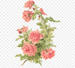 Cut flowers Rose Floral design Clip art - Peach Cliparts ...